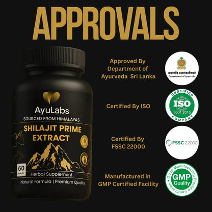 Himalayan Shilajit - 60 Capsules
